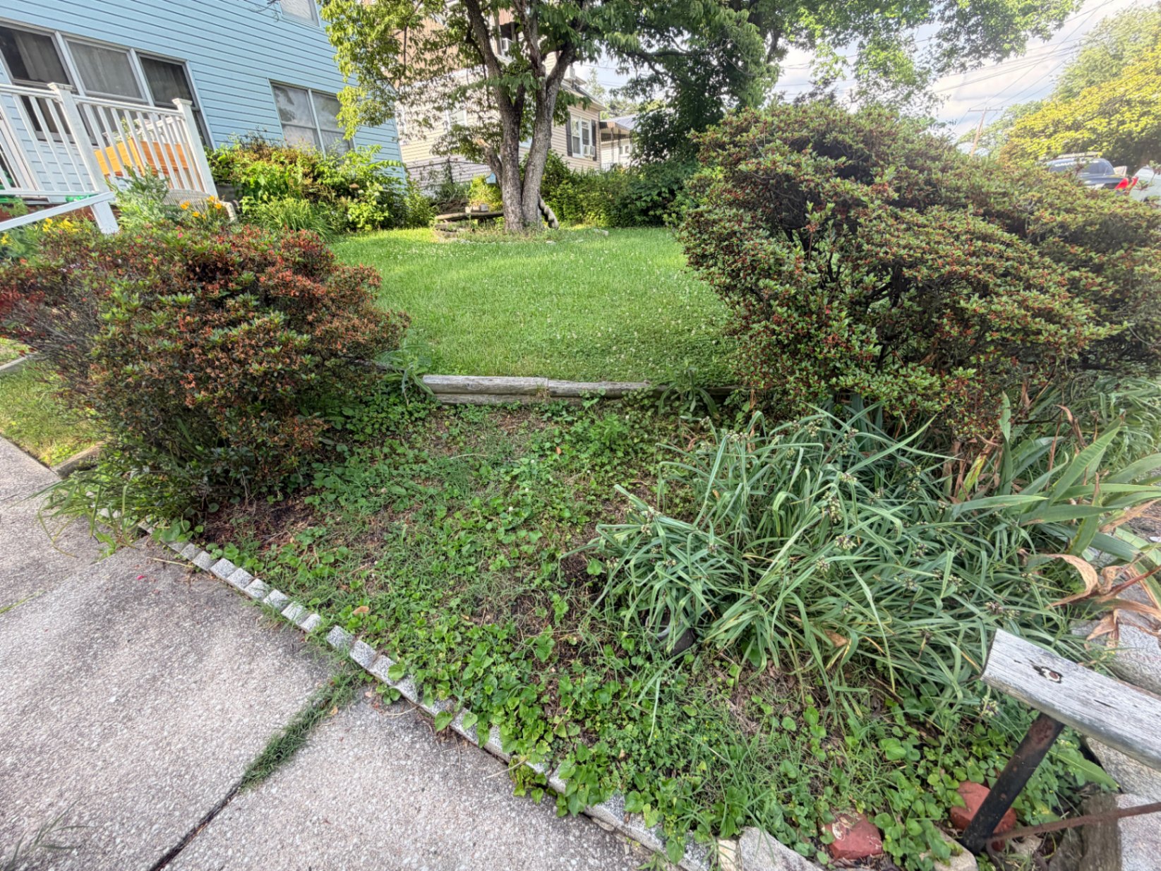 Front Bed Cleanup & Mulch before
