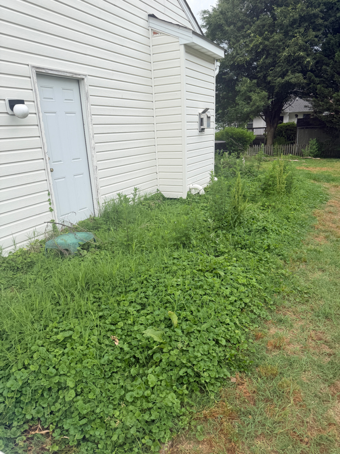 Side Yard Reset & Paver Walkway before