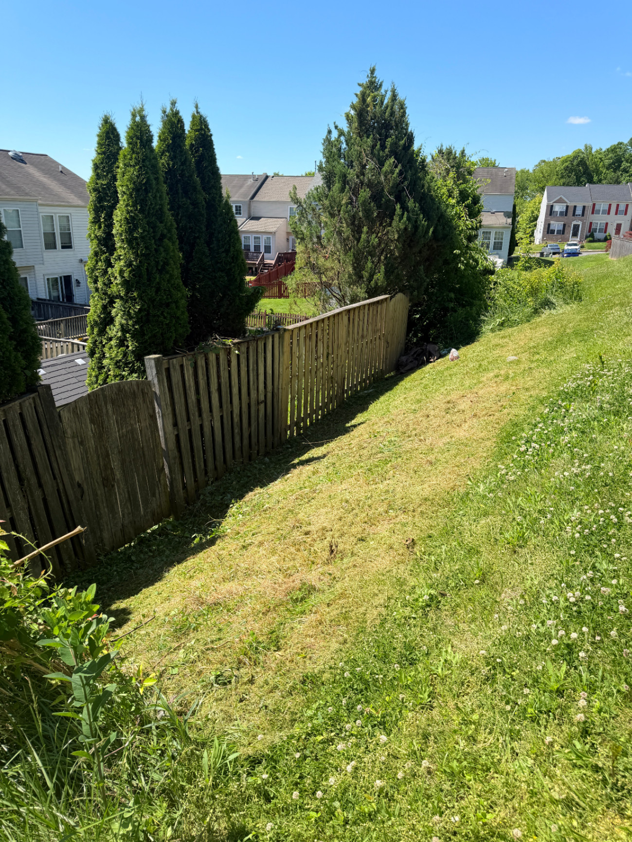 Overgrown Fence Line Cleanup after